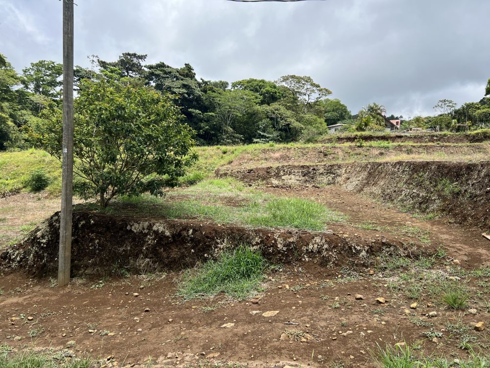 Terreno general en Venta en Quesada, Costa Rica