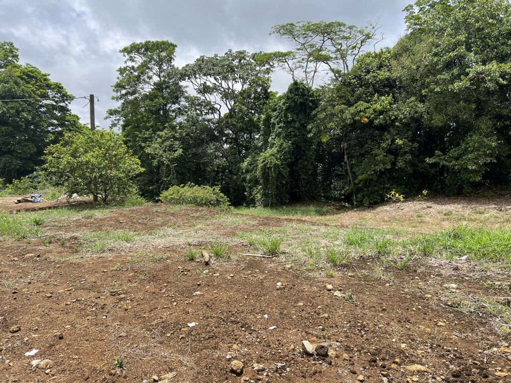 Terreno general en Venta en Quesada, Costa Rica