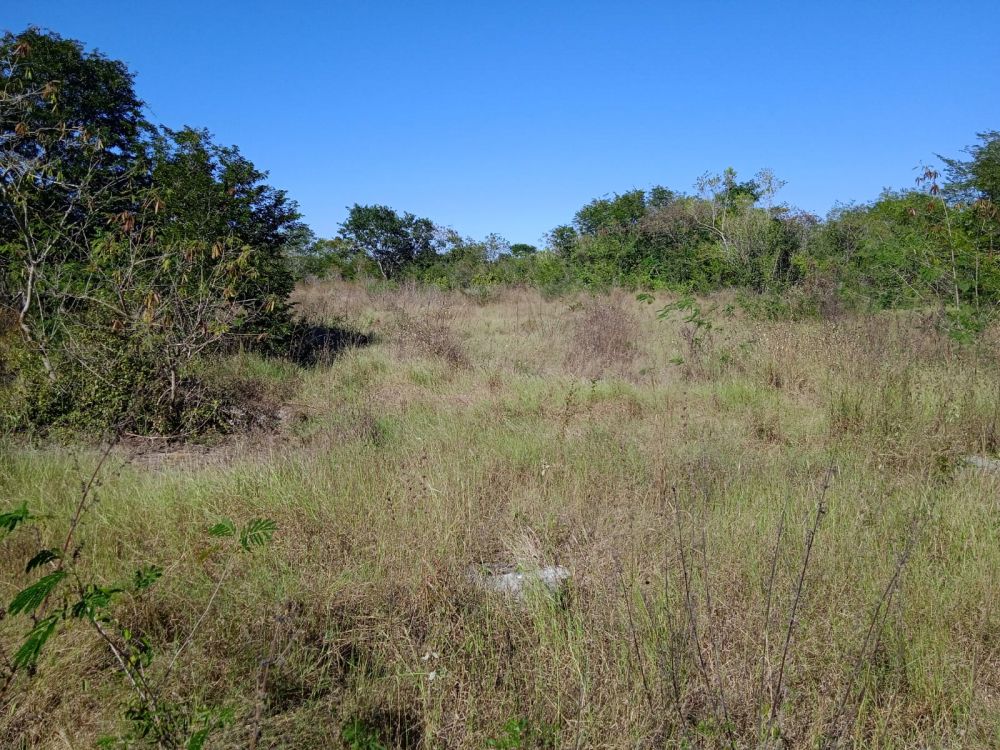 Terreno general en Venta en Merida, Mexico