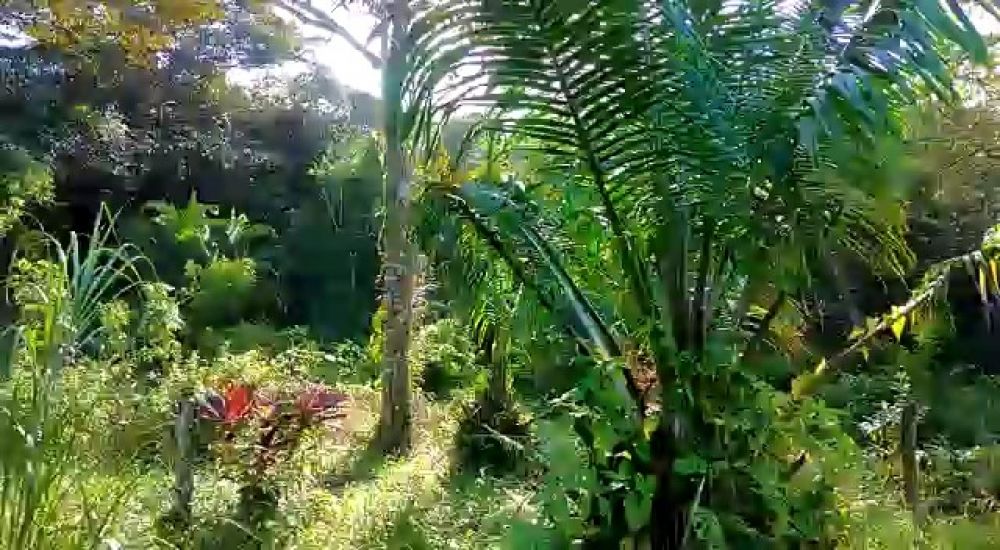 Terreno general en Venta en , Panama