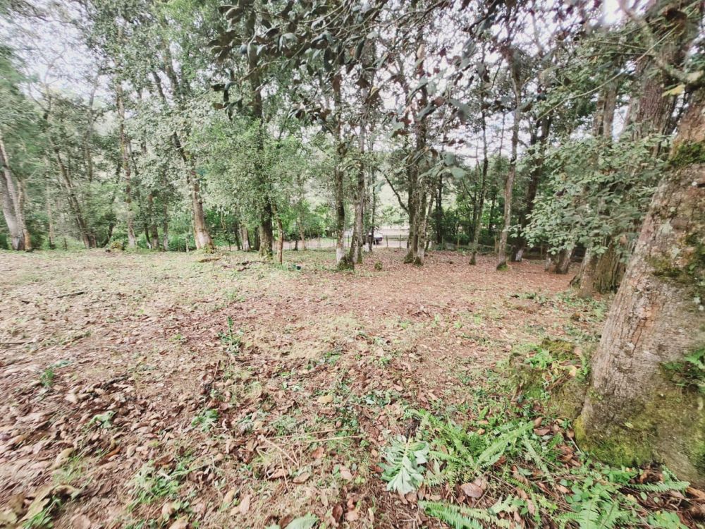 Terreno general en Venta en San Lucas Sacatepequez, Guatemala