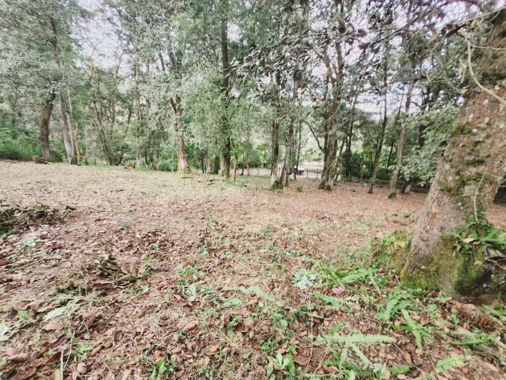 Terreno general en Venta en San Lucas Sacatepequez, Guatemala