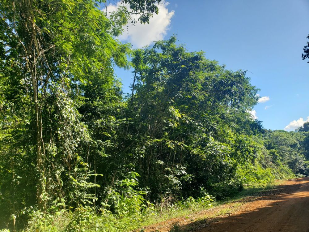 Tierras de cultivo en Venta en , Costa Rica