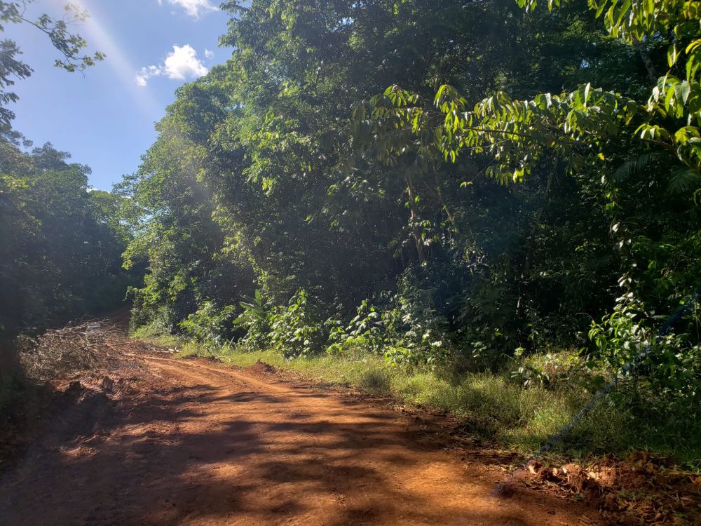Tierras de cultivo en Venta en , Costa Rica