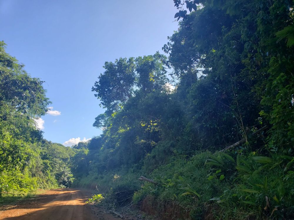 Tierras de cultivo en Venta en , Costa Rica