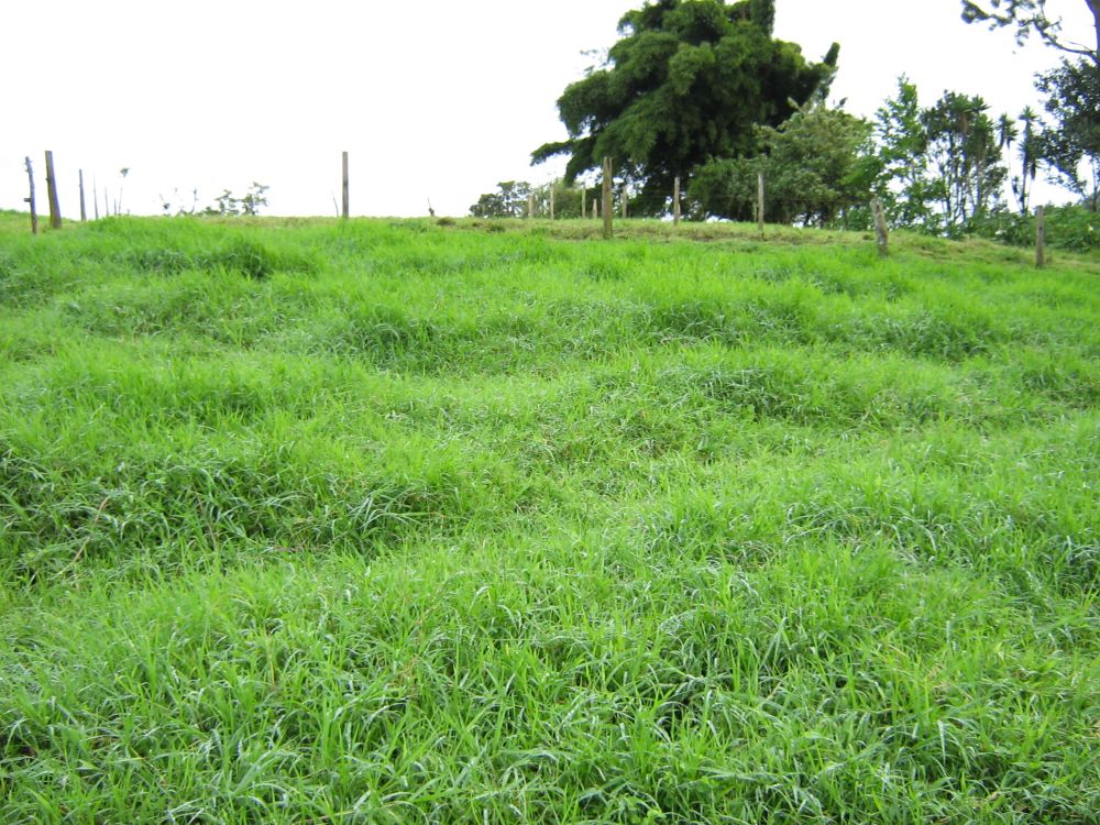 Terreno general en Venta en , Costa Rica
