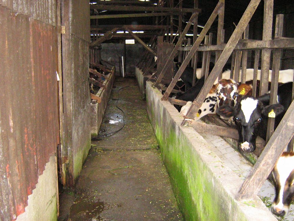 Terreno general en Venta en , Costa Rica