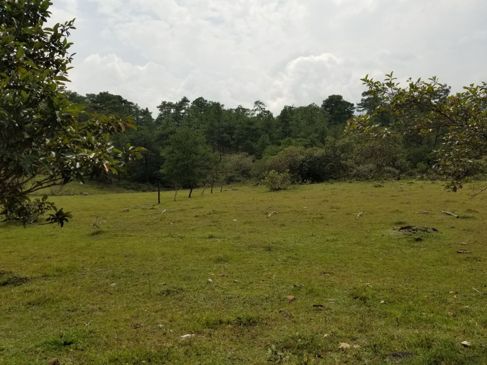 Terreno general en Venta en La Palma, El Salvador