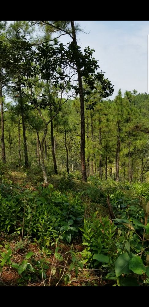 Terreno general en Venta en La Palma, El Salvador