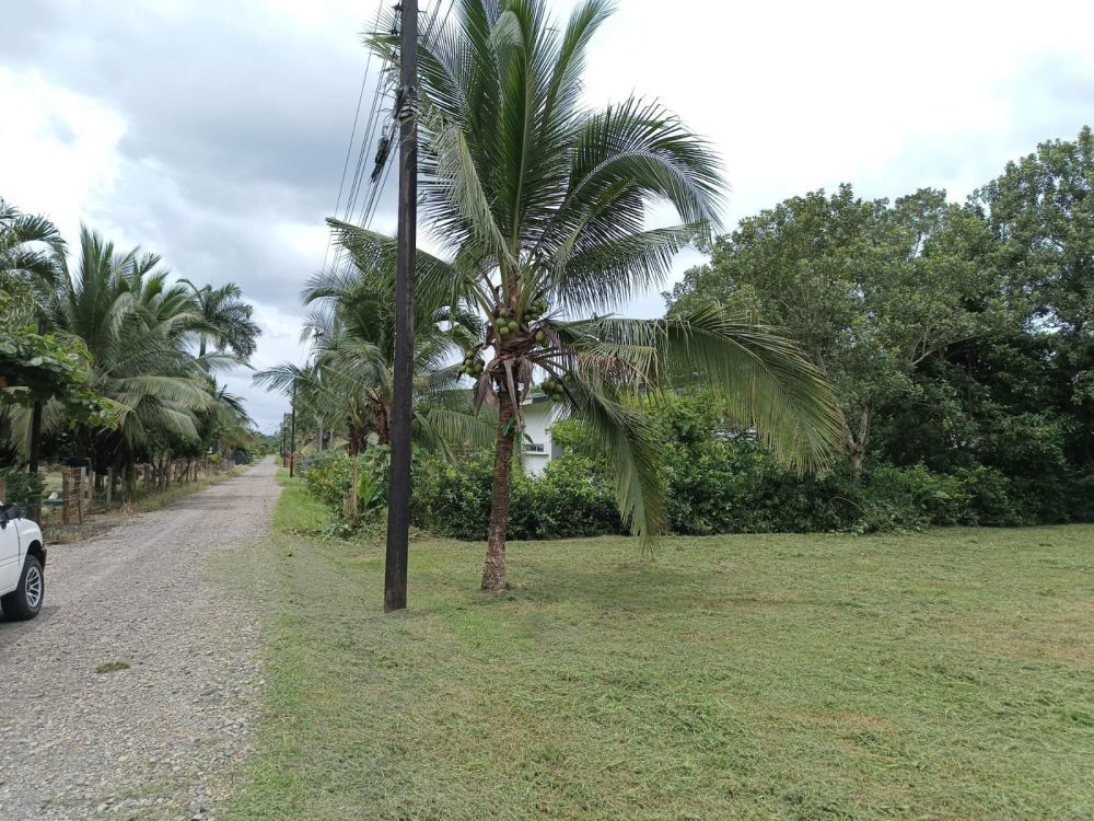 Terreno general en Venta en Alajuela, Costa Rica