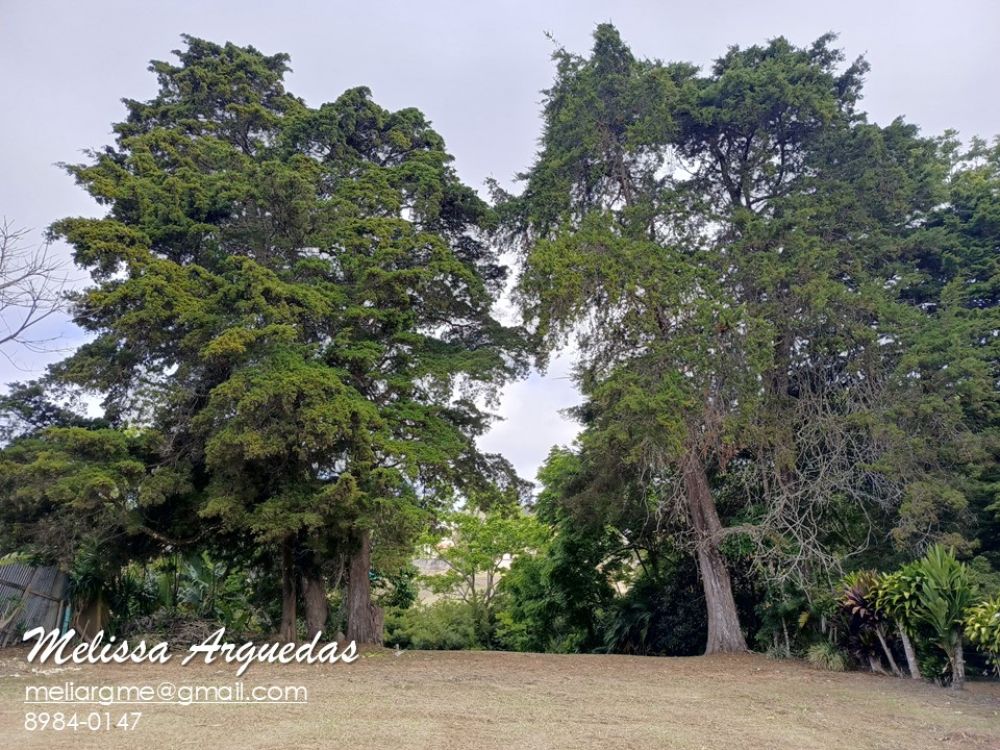 Terreno general en Venta en Heredia, Costa Rica