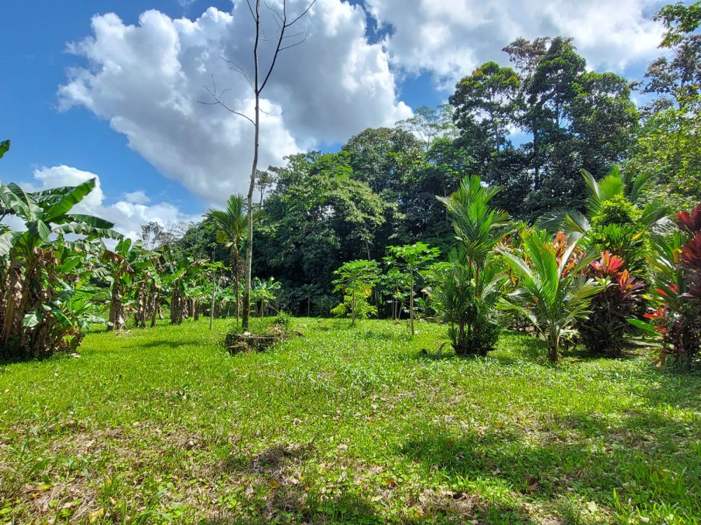 Terreno general en Venta en Guapiles, Costa Rica