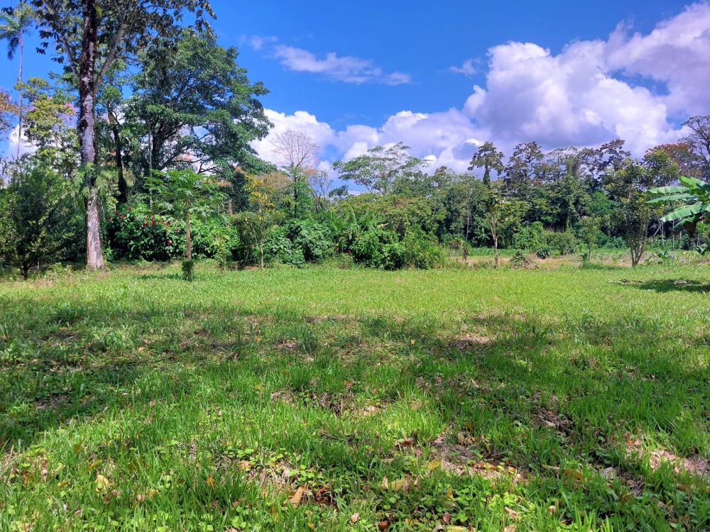 Terreno general en Venta en Guapiles, Costa Rica