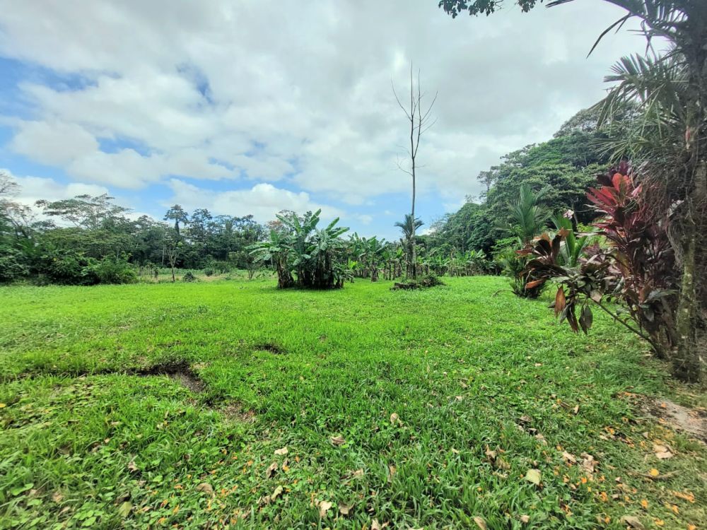 Terreno general en Venta en Guapiles, Costa Rica
