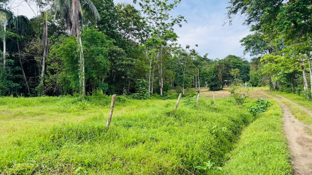 Terreno general en Venta en Limon (Puerto Limon), Costa Rica