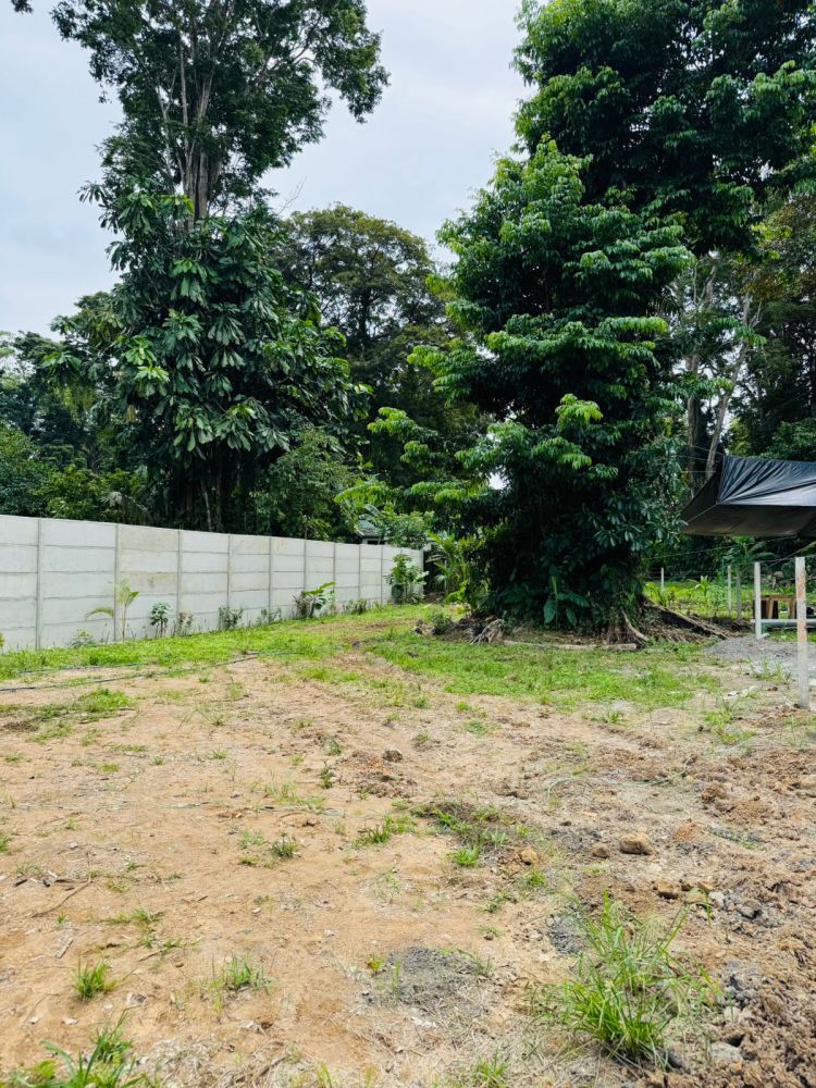 Terreno general en Venta en Limon (Puerto Limon), Costa Rica