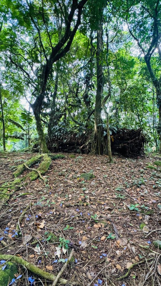 Terreno general en Venta en Guapiles, Costa Rica