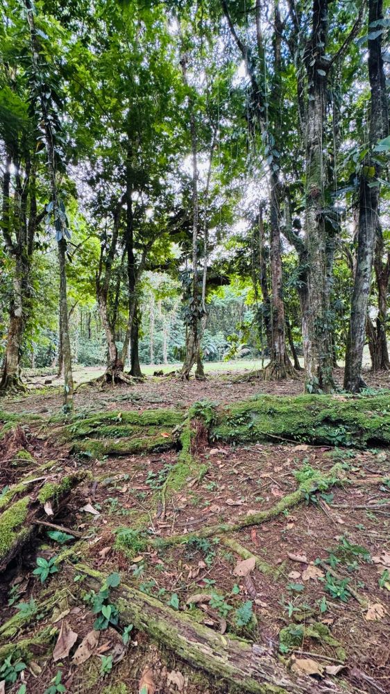 Terreno general en Venta en Guapiles, Costa Rica