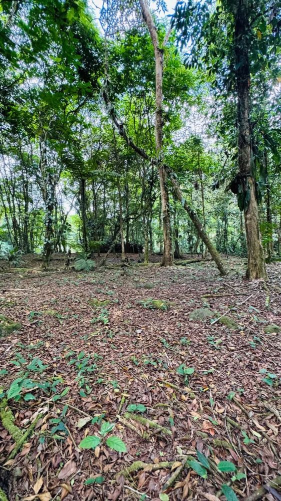 Terreno general en Venta en Guapiles, Costa Rica