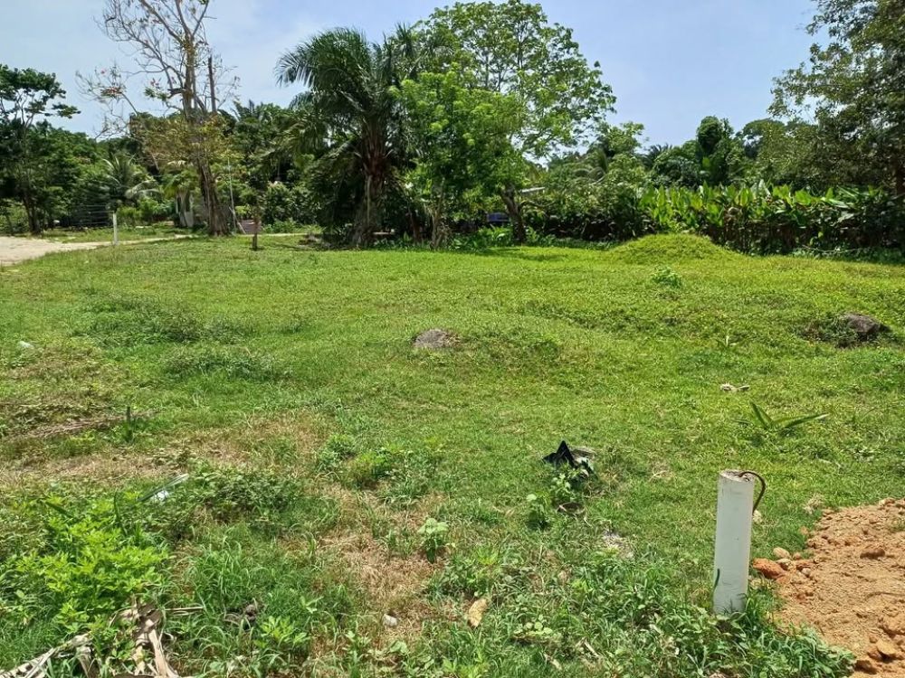 Terreno general en Venta en Tela, Honduras