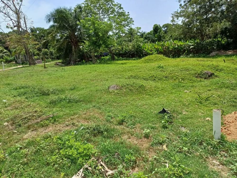 Terreno general en Venta en Tela, Honduras
