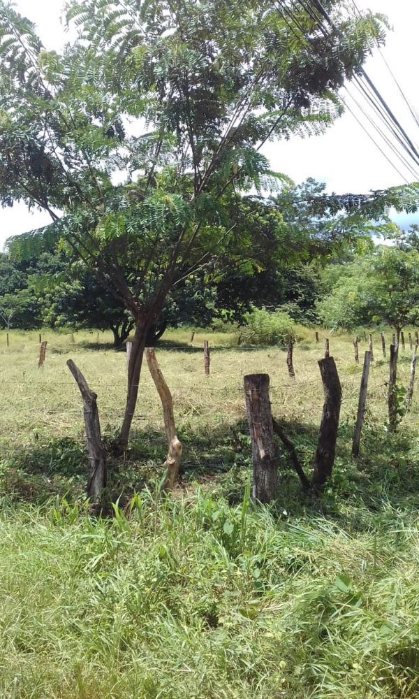 Terreno general en Venta en Nicoya, Costa Rica