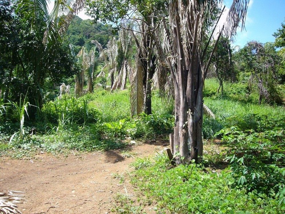 Terreno general en Venta en Puntarenas, Costa Rica