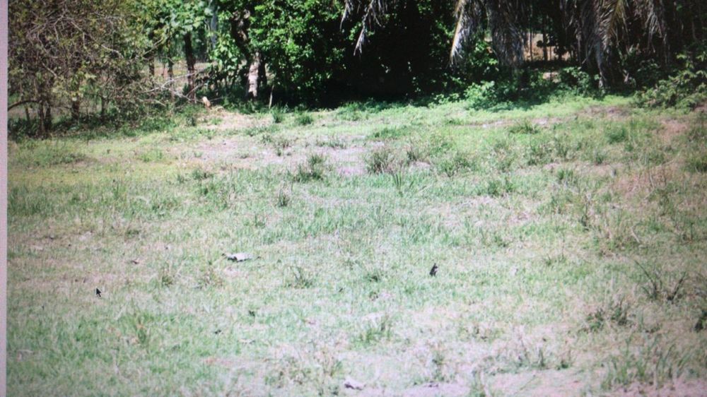Terreno general en Venta en Puntarenas, Costa Rica
